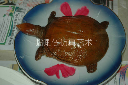 仿真甲魚(yú)模型